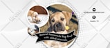 design eye catching social media kit