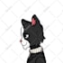 create a cartoon, pixel art and generate collection nft up to 10k