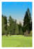 make a scenic illustration from your photo