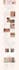 build squarespace website design squarespace website development squarespace