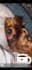 professionally edit, retouch, enhance and remove objects from images