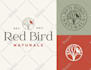 create an organic hand drawn logo