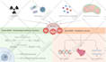 make scientific and medical illustrations for you