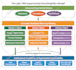 design scientific illustrations, publication image, graphical abstract