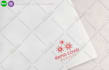 create versatile and professional logo in 24 hours