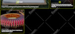 design, redesign, edit, fix, clone, your wordpress website