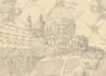 draw illustrations with engraving style and ornament