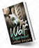 design fantasy book cover illustration art, christian, horror, romance, sci fi