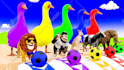 create 3d animation for kids using characters and animals