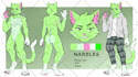 make the reference sheet for your fursona, furry character