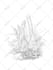 make a nature inspired line art illustration