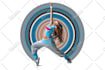 do anything graphics design,photoshop,logodesign,vector art