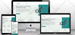 create, redesign a professional business website