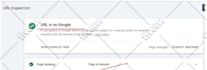 fix google search console errors, wordpress and shopify SEO indexing issues