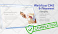 design or develop your webflow website and setup webflow cms