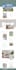 build wordpress website, design, redesign wordpress business website development