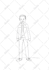 draw storyboard art for games, comics, and animation