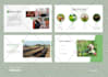 design a professional powerpoint presentation or pitch deck