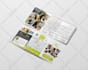 design a professional brochure for your business