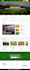 develop responsive wordpress website, design, build for business or company