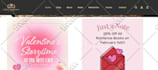 design or develop  professional wordpress website