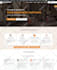 design new wordpress website design with elementor pro