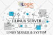 set up linux server, web app, and vps configuration