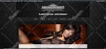 provide professional wordpress customization