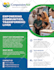 design premium editable canva brochure, flyer or catalog