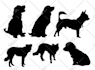 make silhouette and silhouette logo from your photos