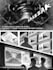 draw professional manga comic art in my style