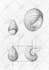 sketch your jewelry design ideas