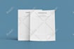 design a high end ebook, lead magnet, guide or workbook PDF
