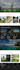do hotel booking, taxi booking, travel agency or any business wordpress website