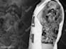 draw a realistic tattoo design