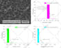 process SEM data and analyze the particle size distribution