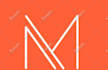 professionally design minimalist business logo