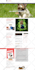 do woocommerce bug fix, html css issue, redesign wp website