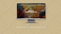 do professional wordpress website design and development