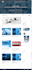 make a fully responsive wordpress website in your demand