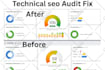 perform seo website audit,on page,google search console optimzation and indexing