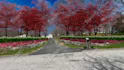 do landscape design with front yard, backyard design, pool, deck, garden design