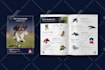 design modern lookbook, product catalog, brochure, portfolio