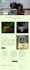 do squarespace redesign squarespace website design squarespace redesign