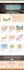 fix wordpress, shopify, divi, elementor pro, godaddy issues, expert website help