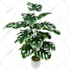 edit product pictures, background remove