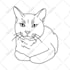 convert your image to an high detailed line art
