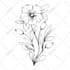make vector line art or super detailed from your image