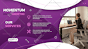 design a professional prezi, canva or powerpoint presentations