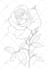 create professional flower or plant digital art